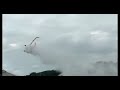 accidente avioneta fumigadora,😞🛩️