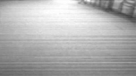 DelFly II: vision-based autonomous height control - onboard images