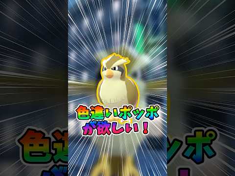 【ポケモンZA】色違いポッポが欲しい！ #shorts
