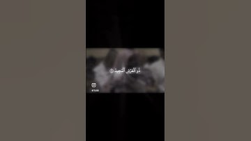 ان بطش ربك لشديد - سورة البروج - محمد اللحيدان