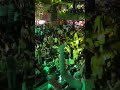 Gangs Beer Club 🍻 Saigon Nightlife Travel 🇻🇳