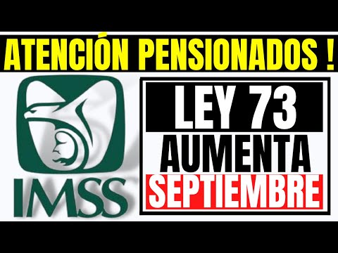 🔥NOTICIA IMPORTANTE PENSION