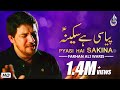 Farhan ali waris  pyasi hai sakina  noha  2016