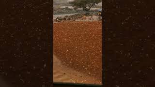 Oman Weather News & update Heavy Rainfall with hailstorm & flash Flood Hit Different cities of Oman