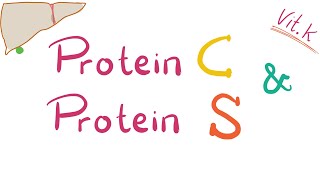 Protein C and Protein S - Inhibitors of coagulation