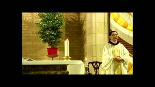 FATHER PETER HOANG CHRISTMAS 2014