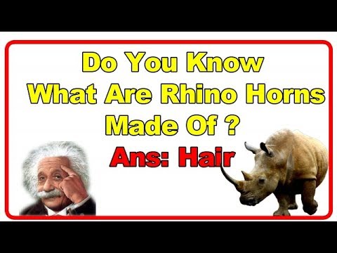  Interesting Animals Facts & Behaviour That you Dont Know.