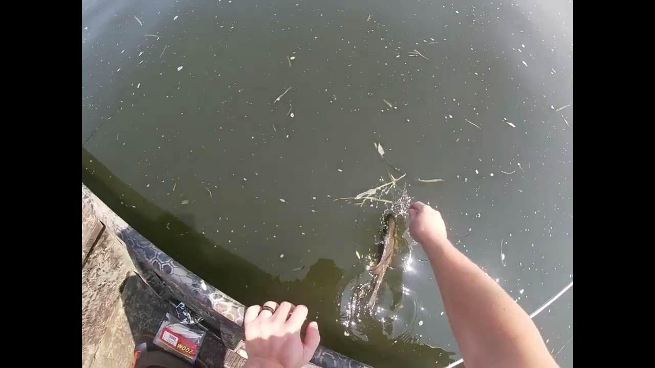 Susquehanna bass fishing!
