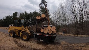 Loading Ash Logs Headed For The Sawmill