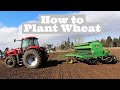 How to plant wheat easy to learn mp3
