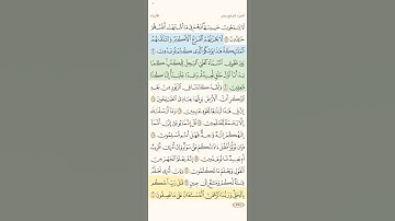 سوره الانبياء القارئ ماجد العقل من الأخضر حتى الأصفر