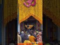 Kedarnath Special 2/May | Mahadev | #kedarnath #kedarnathtemple #ytshorts #viralshorts #shorts #view