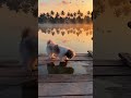 Reflections at First Light #puppy #life #cute #petlover #navarasalens #beauty #pets #dog