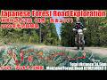 【2026全線映像】万沢林道の冬季閉鎖解除日21.8㎞の全線記録 / Manzawa Forest Road Full Journey【デジタルアーカイブ】