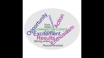 DiSC® - Understanding the Di (Dominant / Influence) Style