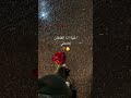 حلو صح؟ 🥲❣️. #اكسبلور #لايك #بنغازي_ليبيا #بنغازي