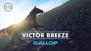 ✔️Victor Breeze ~ Gallop [Fast Piano Music ♪ Beautiful Horse Running] screenshot 2