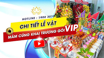 Mâm Cúng Khai Trương Cửa Hàng, Công Ty (Gói Vip): Tư Vấn Đầy Đủ Lễ Vật, Giao Hàng Tận Nơi!