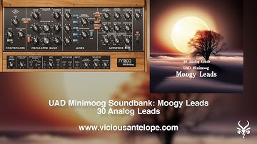 UAD Minimoog Presets | Vicious Antelope - Moogy Leads