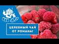 Целебный чай от Романа.#Shorts