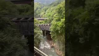 【JR東日本吾妻線】ナイス崖と配線跡のような橋梁