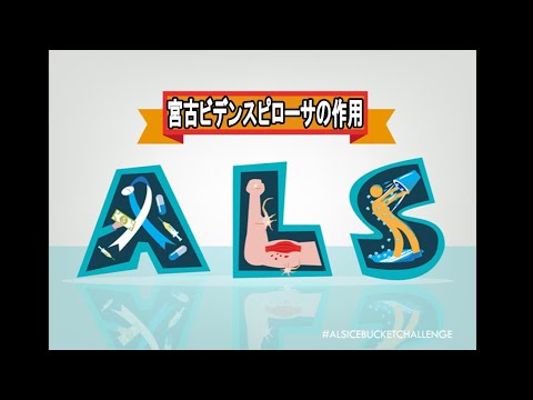 【ALS】宮古ビデンスピローサの筋萎縮性側索硬化症研究結果