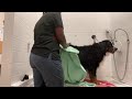 Bernese mountain dog bath🥶 の動画、YouTube動画。