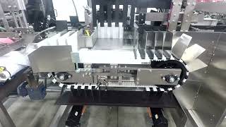 Knock Down Case Packer with High Speed Race Track for Cartons
