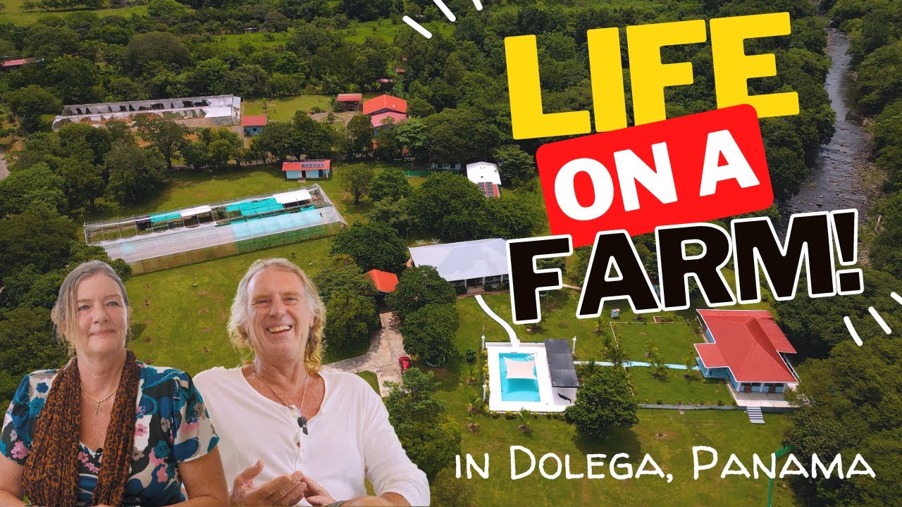 Living on a FARM in Dolega Panama YouTube