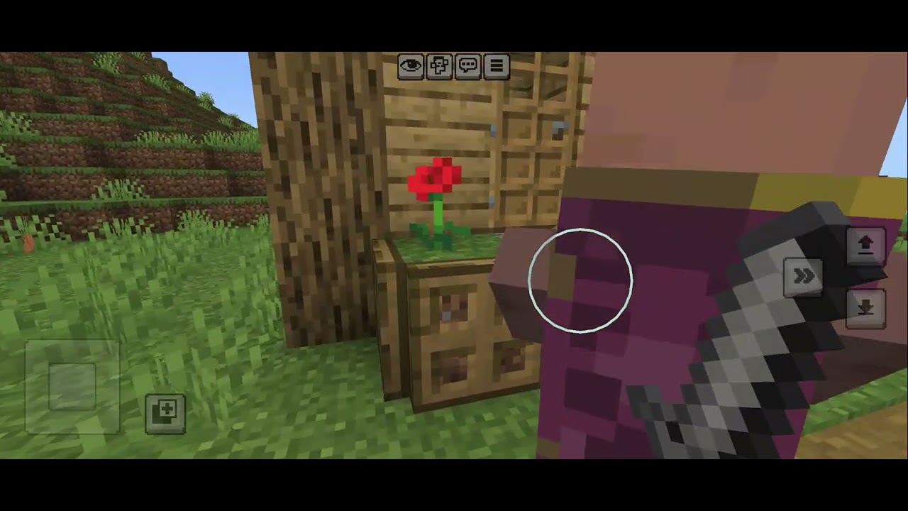 Playing Minecraft survival series part 1.I found a village in my ...