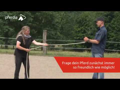 Natural Horsemanship verstehen - Handling des Equipments | Jenny & Peer Classen
