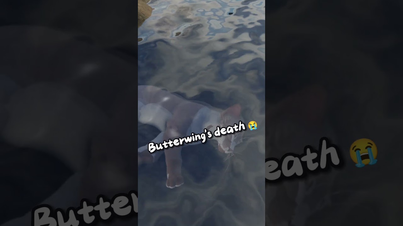 WCUE: ButterWing's death 😔😭 |  