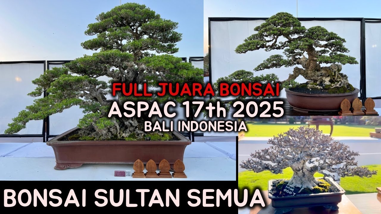FULL JUARA BONSAI ASPAC 17th INDONESIA BALI 2025