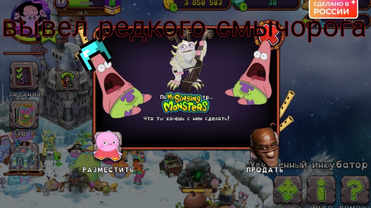 Вывел редкого смычорога в МСМ