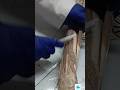 Exam time quick revision: Extensors of forearm (identify muscles)