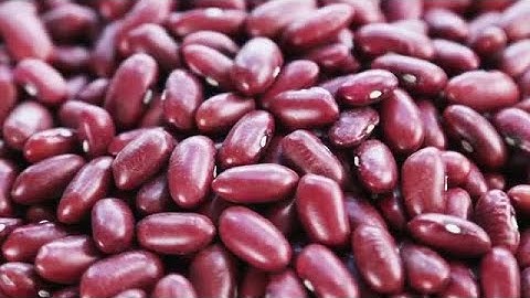 Red Beans Stock Video