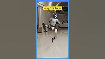 Kung Fu Robot HA！#BusinessInspiration#waytorich#robot #kungfu