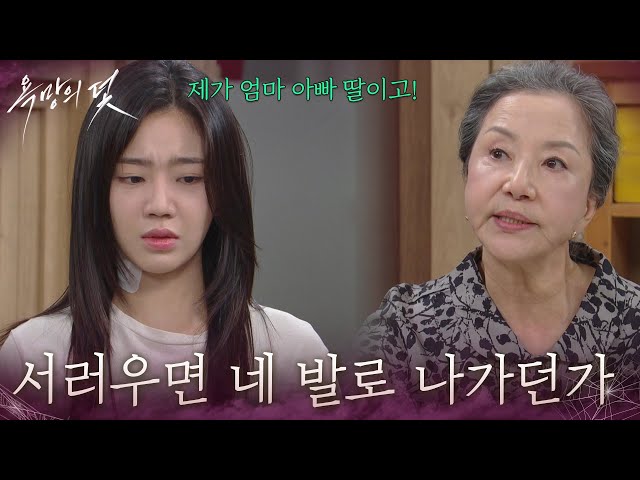 ＂서러우면 네 발로 나가던가＂전혜원을 쫓아내기 위해 계속해서 구박하는 서권순 [욕망의 덫] | KBS 260812 방송