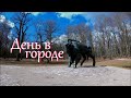 Прогулка по парку. Ажуолинас.