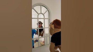 Silly Brooklyn Guy! #puppet #jeffy #sml #viral #funny #smljeffy #meme #edit #sjr #foryou