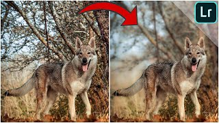 lightroom filter graduated blurry