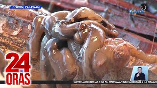 Tamilok O Woodworm, Exotic Delicacy At Dagdag Kabuhayan Sa Mga Taga-Coron 24 Oras