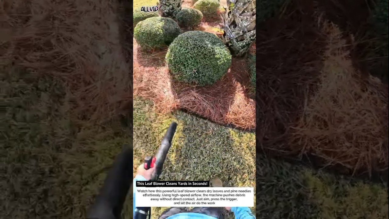 This Leaf Blower Cleans Yards in Seconds! 🍂