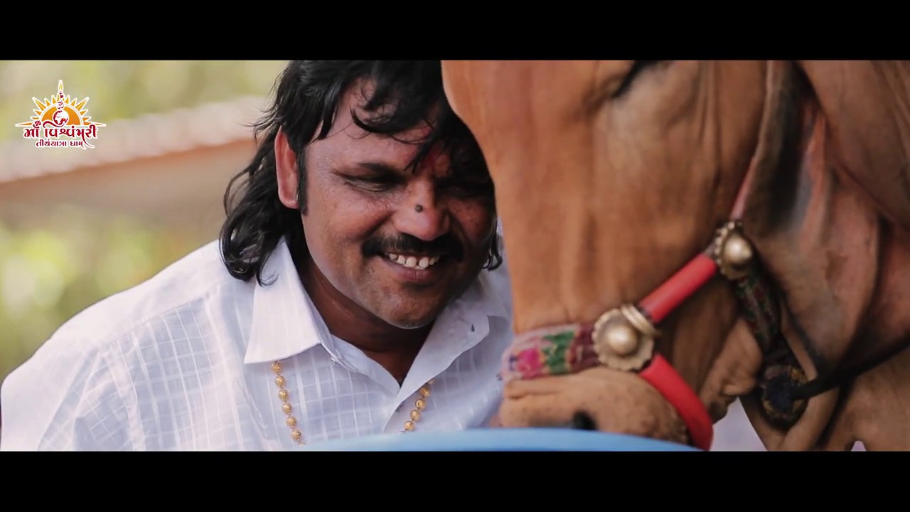 Guru Amara Mahapatra Che || Maa Vishvambhari Tirthyatra Dham ||