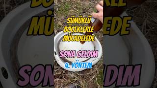 Bahçede Sümüklü Böcek Istilasından Kurtuldum