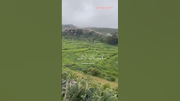 #القارئ_الشيخ_سعود_الشريم #اكسبلور #quran #القرآن_الكريم #foryou #viralvideos #تلاوة_خاشعة #تيك_توك