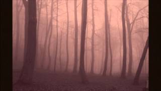 Kevin Macleod - Dark Walk Slowed Down