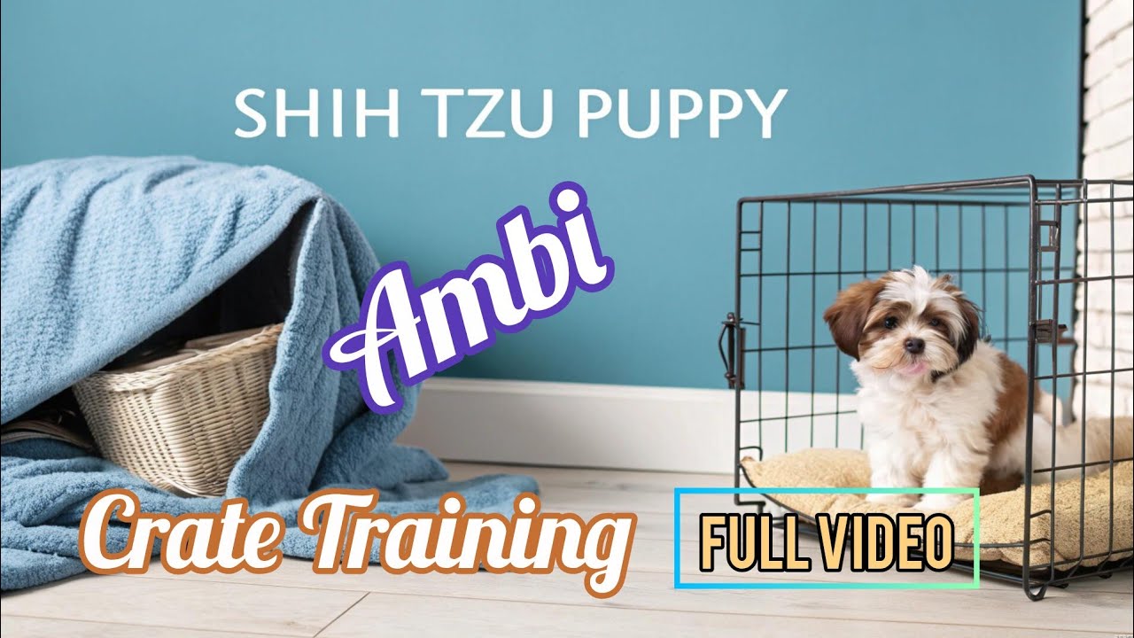 Ambi's First Crate Training | Tips for 2 Month Old ShihTzu Puppies | Ambi's Reactions🐶💞