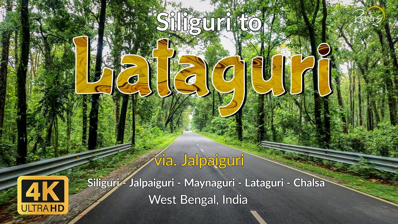 Siliguri to Lataguri | Gorumara National Park | Jalpaiguri, Maynaguri, Chalsa | 4K Drive