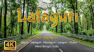 Siliguri to Lataguri | Gorumara National Park | Jalpaiguri, Maynaguri, Chalsa | 4K Drive Siliguri to Lataguri | Gorumara National Park | Jalpaiguri, Maynaguri, Chalsa | 4K Drive